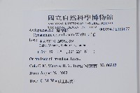 刺瓜藏品圖，第2張