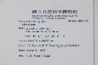 登錄號:S083197藏品圖，第2張