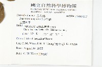 圓葉牽牛藏品圖，第2張