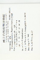 紅花括樓藏品圖，第2張