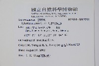 人參娃兒藤藏品圖，第2張