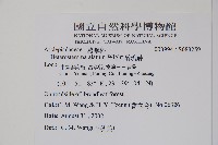 醉魂藤藏品圖，第2張