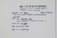 穗花蛇菰藏品圖，第2張