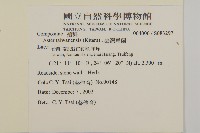 臺灣馬蘭藏品圖，第2張