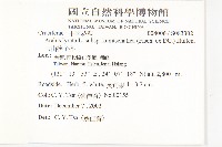 玉山筷子芥藏品圖，第2張