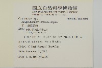玉山抱莖籟簫藏品圖，第2張