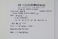 黑眼花藏品圖，第2張