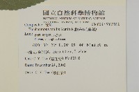 地膽草、毛蓮菜藏品圖，第2張