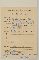 扶芳藤藏品圖，第2張