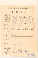 白頂飛蓬藏品圖，第2張