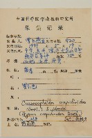 昭和草藏品圖，第2張