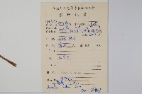 落葵藏品圖，第2張