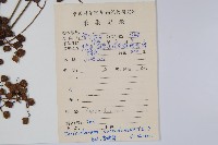 野漆、木臘樹藏品圖，第2張