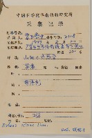 白花鬼針藏品圖，第2張