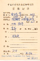 一枝香藏品圖，第2張