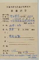 魚眼菊藏品圖，第2張