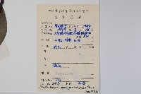 臺灣樹參藏品圖，第2張