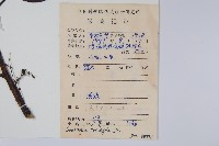 水東哥藏品圖，第2張