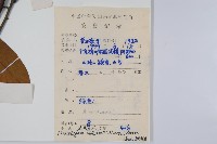 瓜馥木藏品圖，第2張