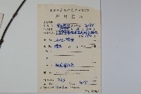 南方莢迷藏品圖，第2張