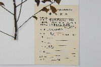 登錄號:S083755藏品圖，第2張