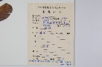 紫玉盤藏品圖，第2張