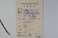 南方莢迷藏品圖，第2張