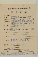 柄序南蛇藤藏品圖，第2張