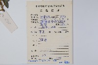 刺莧藏品圖，第2張