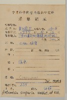 黃蒿藏品圖，第2張