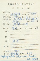 牛耳楓藏品圖，第2張
