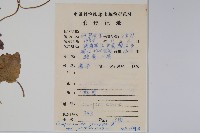 金錢豹藏品圖，第2張