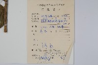 細果鐵冬青藏品圖，第2張