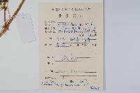 刺莧藏品圖，第2張