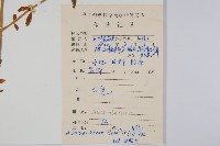 蓮子草藏品圖，第2張
