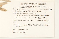 紅面番藏品圖，第2張