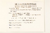 飛機草藏品圖，第2張