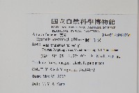 假川牛膝藏品圖，第2張