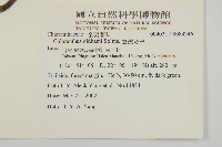 臺灣及己藏品圖，第2張