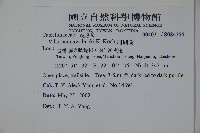 珊瑚樹藏品圖，第2張