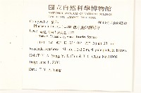 鯽魚膽、闊苞菊藏品圖，第2張
