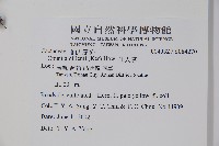 仙人掌藏品圖，第2張