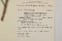 欖李藏品圖，第2張