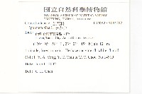 天茄兒藏品圖，第2張