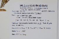 假海馬齒藏品圖，第2張