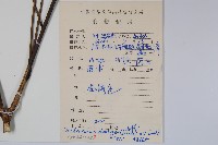 樹參藏品圖，第2張