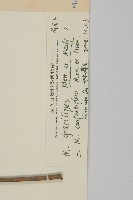 密花假衛矛藏品圖，第3張