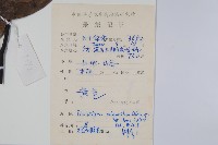 黑風藤藏品圖，第2張