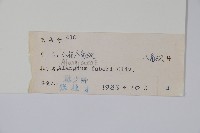 小花八角楓藏品圖，第2張