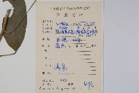 登錄號:S084485藏品圖，第2張